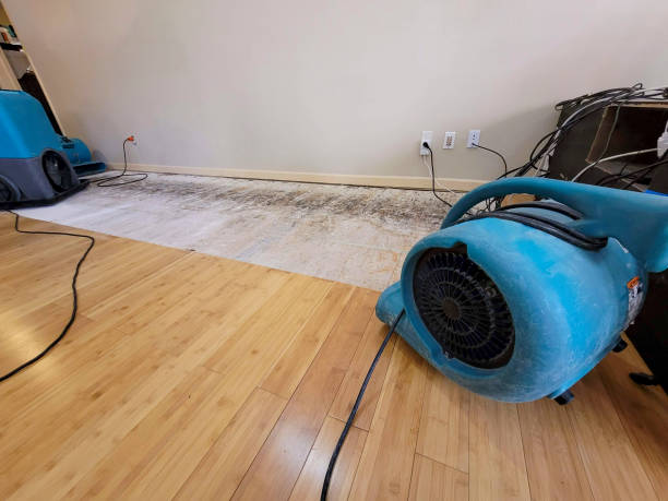 Professional Basement Flood Cleanup technician working in Mojave, CA